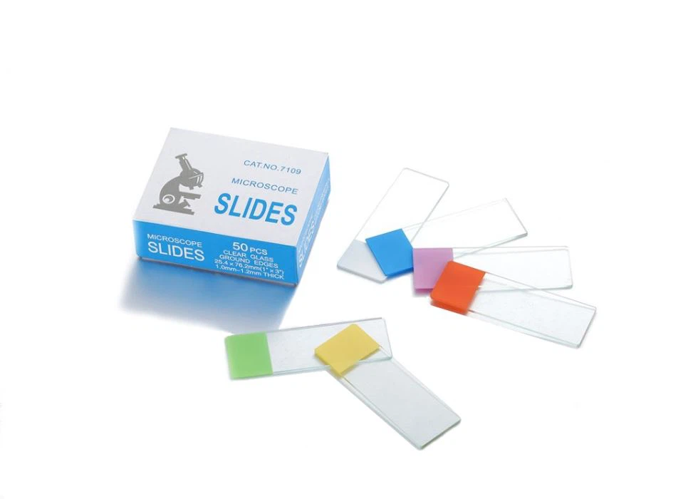 Glass Microscope Slide